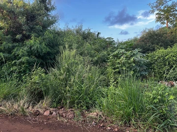 Residential Land