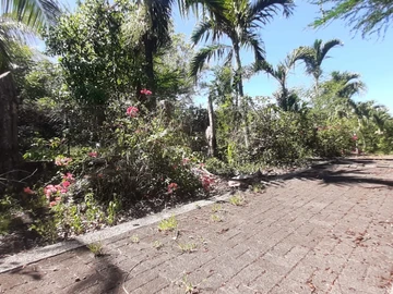 Residential Land